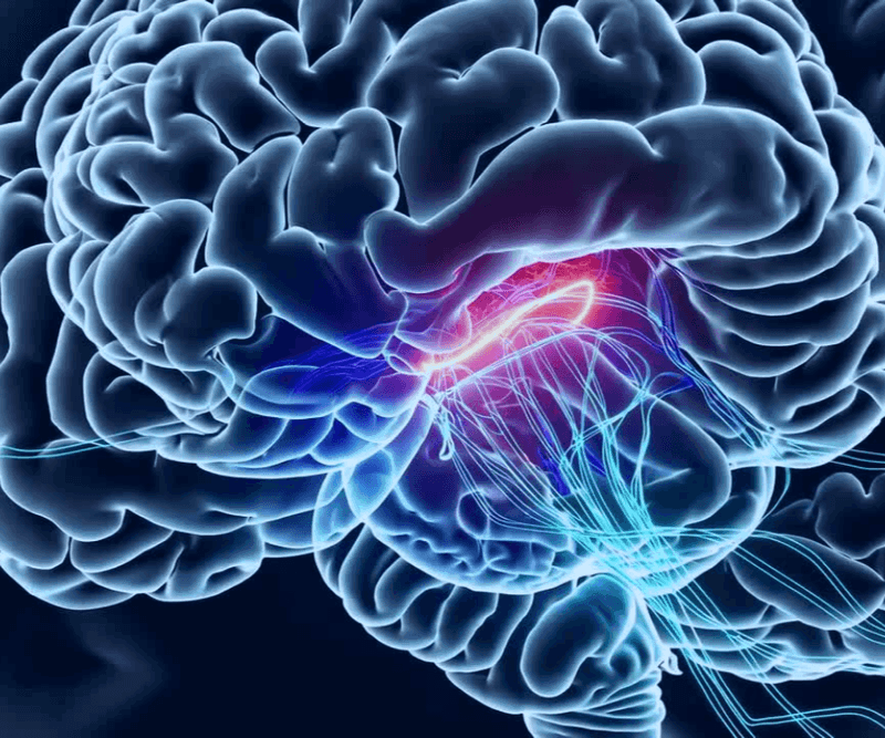 brain productivity
